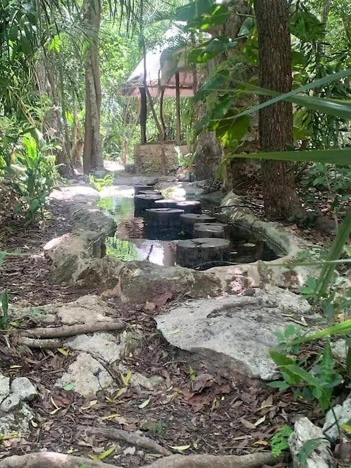 Feriehus Palapa De La Selva With Cenotes Villa Playa del Carmen