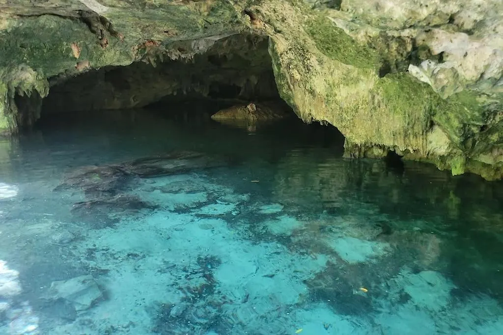 Palapa De La Selva With Cenotes Villa Playa del Carmen Feriehus