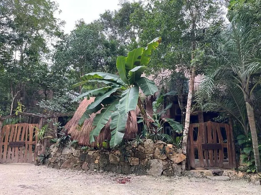 Palapa De La Selva With Cenotes Villa Playa del Carmen Feriehus