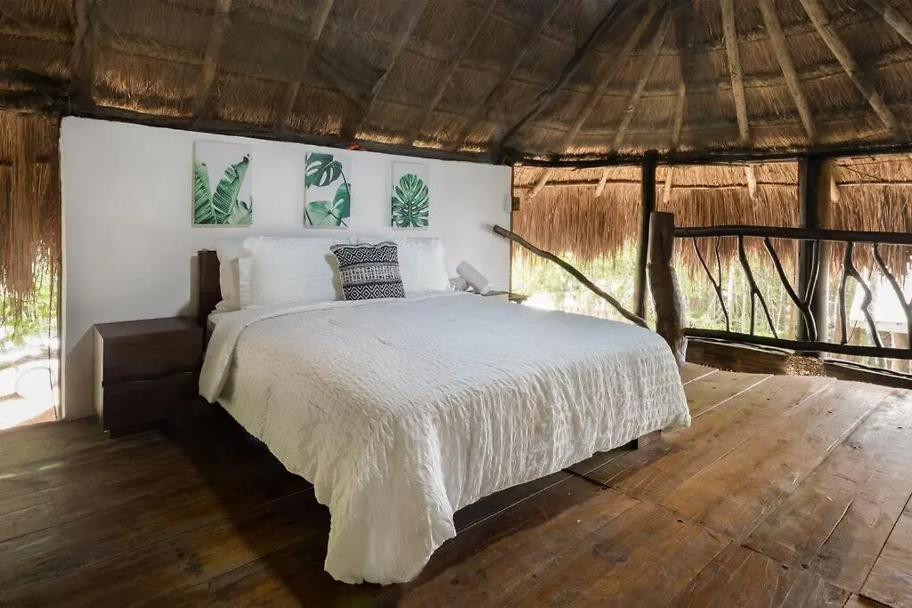 Feriehus Palapa De La Selva With Cenotes Villa Playa del Carmen Mexico